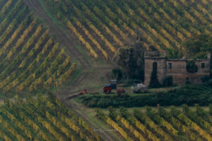 campagna autunno 2021