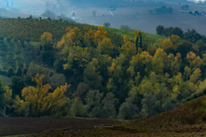 campagna autunno 2021