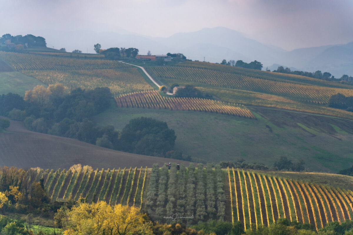 campagna autunno 2021