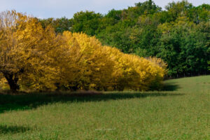 campagna autunno 2021